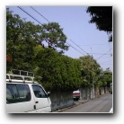 [Click to enlarge image]