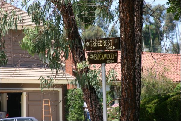 _streetsign