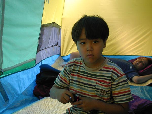 16020064
