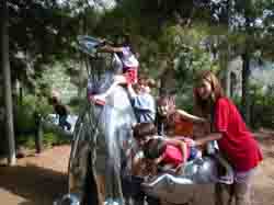 Sdzoo